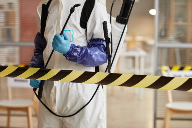 Professional Sewage Cleanup technician working in Albion, NY